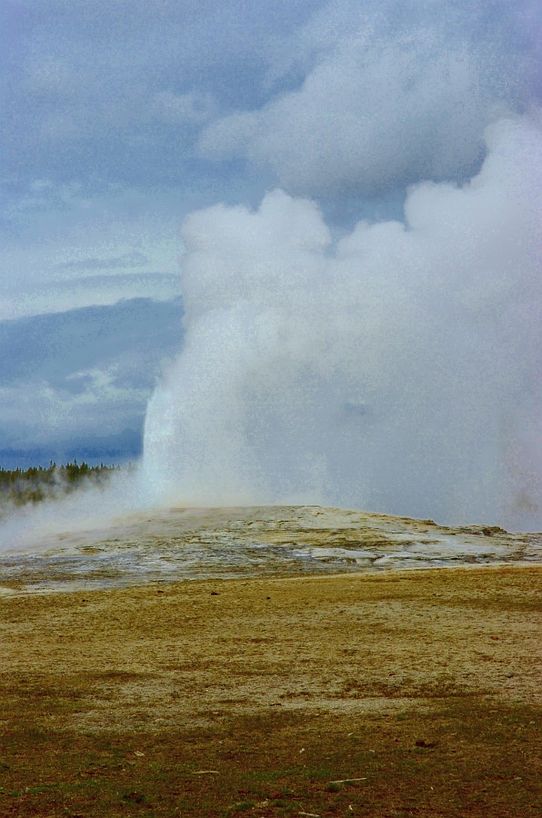 Old Faithful Erupts